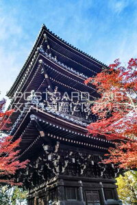 y{̕i|XgJ[hzs{ssR^@ӂ̌܏dƍgt̃|XgJ[hit͂tHgJ[hGtj