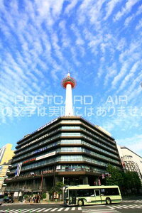 y{̕i|XgJ[hzs{ss^[̃|XgJ[hit͂tHgJ[hGtjs{ss擌H721|1