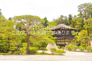 y{̕i|XgJ[hzsstt߂̕i@͂nKLt