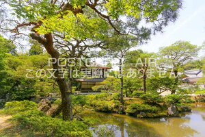 y{̕i|XgJ[hzsstt߂̕i@͂nKLt