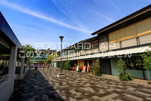 y{̕i|XgJ[hzssO2016N̕i@͂nKLt