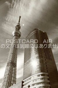 y{̕i|XgJ[hz̓XJCc[̂镗i@͂nKLt photo by MIRO