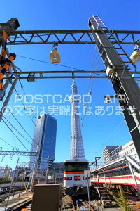 y{̕i|XgJ[hzXJCc[ƓŜ镗i@͂nKLt photo by MIRO