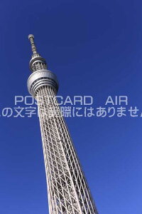 y{̕i|XgJ[hzXJCc[̂镗i@͂nKLt photo by MIRO