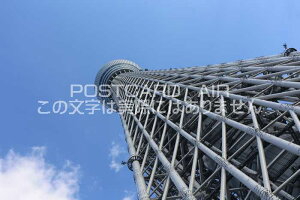 y{̕i|XgJ[hzXJCc[̂镗i@͂nKLt photo by MIRO