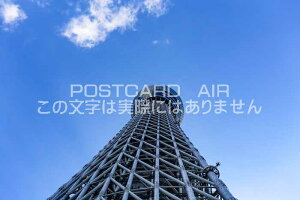 y{̕i|XgJ[hzXJCc[̂镗i@͂nKLt photo by MIRO