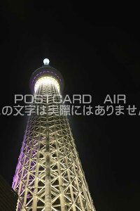 y{̕i|XgJ[hz̓XJCc[̂镗iiij@͂nKLt photo by MIRO