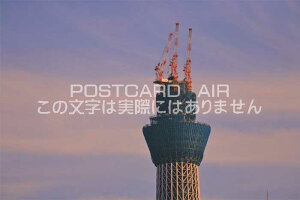 y{̕i|XgJ[hzXJCc[̂镗iizj@͂nKLt photo by MIRO