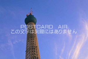 y{̕i|XgJ[hzXJCc[̂镗iizj@͂nKLt photo by MIRO