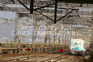 yS̕i|XgJ[hzE5n^H5nkVm։w͂nKLt photo by MIRO