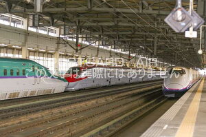 yS̕i|XgJ[hzE5n^H5n@E6n@E2nkVm։w͂nKLt photo by MIRO