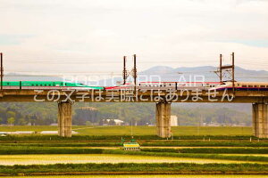 yS̕i|XgJ[hzE5n^H5n@E6n@E2nkV֎s𑖂͂nKLt photo by MIRO