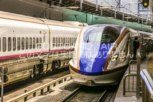 yS̕i|XgJ[hzkVE7nEW7ni₫A͂A܁A邬j photo by MIRO