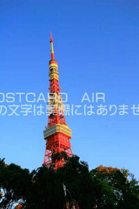 y{̕i|XgJ[hzƓ^[͂nKLt photo by MIRO