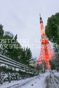 y{̕i|XgJ[hzƓ^[͂nKLt photo by MIRO