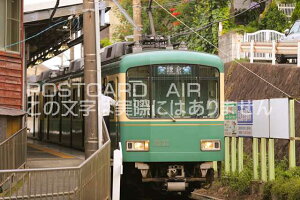 y{̕i|XgJ[hzqZOt߂𑖂]md1000ni]mdSj͂nKLt photo by MIRO