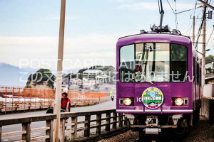 y{̕i|XgJ[hzqZOt߂𑖂]md1000ni]mdSj͂nKLt photo by MIRO