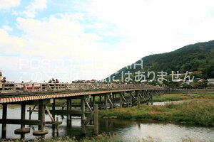 y{̕i|XgJ[hzs{ssRinj̕i͂nKLt