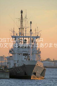 y{̕i|XgJ[hz_ސ쌧lsl`䂭DiĂj͂nKLt