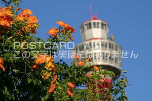 y{̕i|XgJ[hz_ސ쌧lslh}[N^[iԂ2002Nj͂nKLt