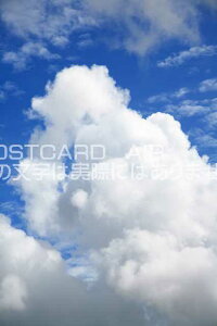 ỹ|XgJ[hzɍLẲ_19͂nKLt