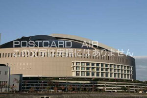 y{̕i|XgJ[hzBsuh[̂镗iv|XgJ[h͂nKLt