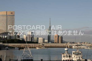 y{̕i|XgJ[hzBsu^[̂镗iv|XgJ[h͂nKLt