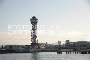 y{̕i|XgJ[hzBsu|[g^[̂镗iv|XgJ[h͂nKLt