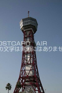 y{̕i|XgJ[hzBsu|[g^[̂镗iv|XgJ[h͂nKLt