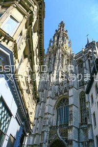 yxM[̕i|XgJ[hzAg[vEAgEFỹ|XgJ[h͂nKLt