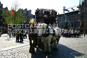 yxM[̕i|XgJ[hzAg[vEAgEFỹ|XgJ[h͂nKLt