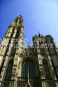 yxM[̕i|XgJ[hzAg[vEAgEFỹ|XgJ[h͂nKLt