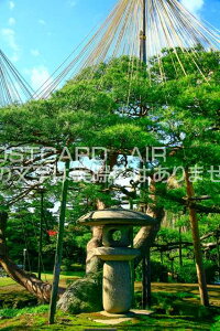 y{̕i|XgJ[hzΐ쌧sȞZ̃|XgJ[h͂nKLt