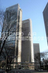 y{̕i/̃|XgJ[hzsVh擌swrQ4͂nKL photo by MIRO