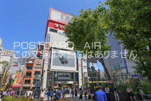 y{̕i/̃|XgJ[hzsVhVhA^t߂̂͂nKL photo by MIRO