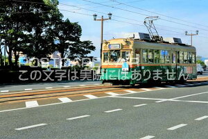 y{̕i/L̃|XgJ[hzLLs@Hʓdԁ@sd̂͂nKL photo by MIRO