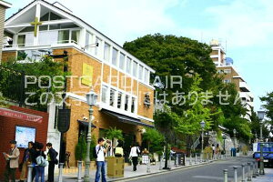 y{̕i/_˂̃|XgJ[hzɌ_ˎŝ͂nKL photo by MIRO