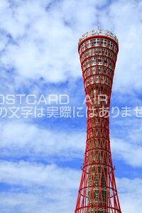 y{̕i/_˂̃|XgJ[hzɌ_ˎs_˃|[g^[̂͂nKL photo by MIRO