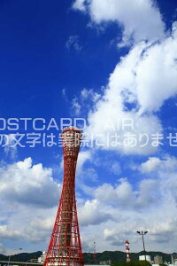 y{̕i/_˂̃|XgJ[hzɌ_ˎs_˃|[g^[̂͂nKL photo by MIRO