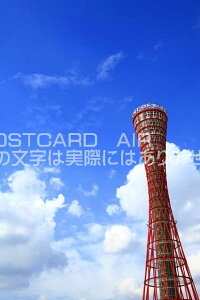 y{̕i/_˂̃|XgJ[hzɌ_ˎs_˃|[g^[̂͂nKL photo by MIRO