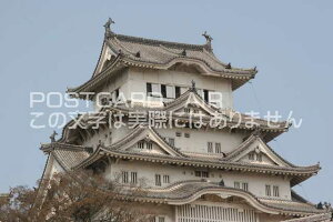 y{̕i^PH̃|XgJ[hzɌPHsPHVt̂͂nKL photo by MIRO