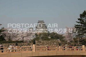 y{̕i^PH̃|XgJ[hzɌPHsƕPHVt̂͂nKL photo by MIRO