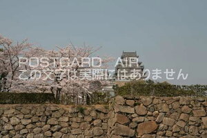 y{̕i^PH̃|XgJ[hzɌPHsƕPHVt̂͂nKL photo by MIRO