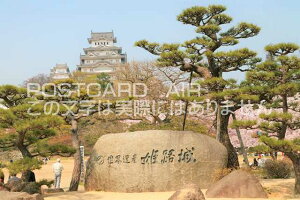 y{̕i^PH̃|XgJ[hzɌPHsPHVt̂͂nKL photo by MIRO