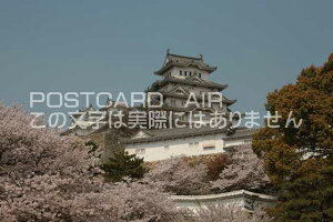 y{̕i^PH̃|XgJ[hzɌPHsPĤ͂nKL photo by MIRO