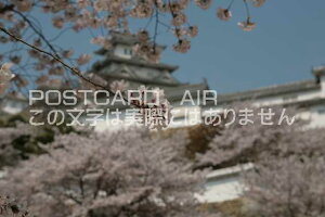 y{̕i^PH̃|XgJ[hzɌPHsPĤ͂nKL photo by MIRO