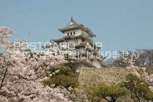 y{̕i^PH̃|XgJ[hzɌPHsPĤ͂nKL photo by MIRO