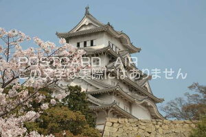 y{̕i^PH̃|XgJ[hzɌPHsPĤ͂nKL photo by MIRO