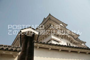 y{̕i^PH̃|XgJ[hzɌPHsPĤ͂nKL photo by MIRO