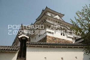 y{̕i^PH̃|XgJ[hzɌPHsPĤ͂nKL photo by MIRO